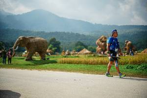 BIB: 
                            <button type="button" onclick="openModal(22434957)" class="btn btn-primary btn-sm float-right btn-popup" data-toggle="modal" data-target=".modal-high-quality">
                        <i class="fas fa-shopping-cart"></i> Add to Cart
                    </button>
                                            <button type="button" onclick="isThisMe(22434957, true)" class="btn btn-success btn-sm float-right btn-popup btn-isme hidden" data-toggle="tooltip" data-placement="bottom" title="นี่คือรูปของคุณใช่ไหม คลิกที่นี่เพื่อเอาเข้าอัลบั้ม">
                        <i class="fas fa-plus"></i> Add to album
                    </button>
                    <button type="button" onclick="isThisMe(22434957, false)" class="btn btn-warning btn-sm float-right btn-popup btn-isnotme hidden">
                        <i class="fas fa-ban"></i> Remove from album
                    </button>